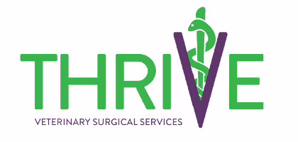 Thrive Veterinary Surgery