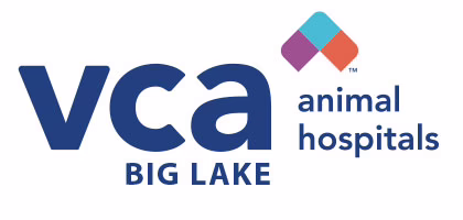 VCA Big Lake