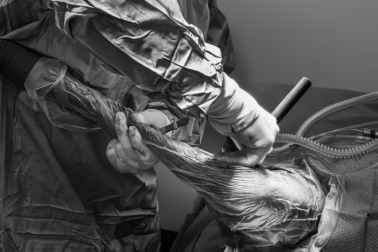 TPLO surgery photo